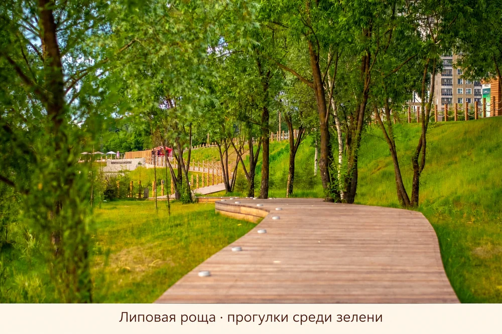 Пространство рядом · Липовая роща