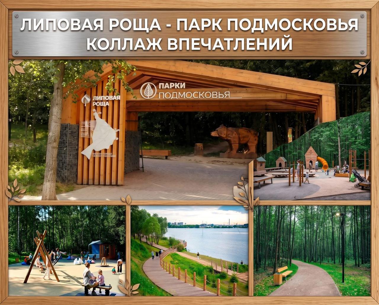 Парк Липовая роща